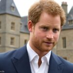 Prinz Harry Vermögen » Das royale Leben aus finanzieller Sicht